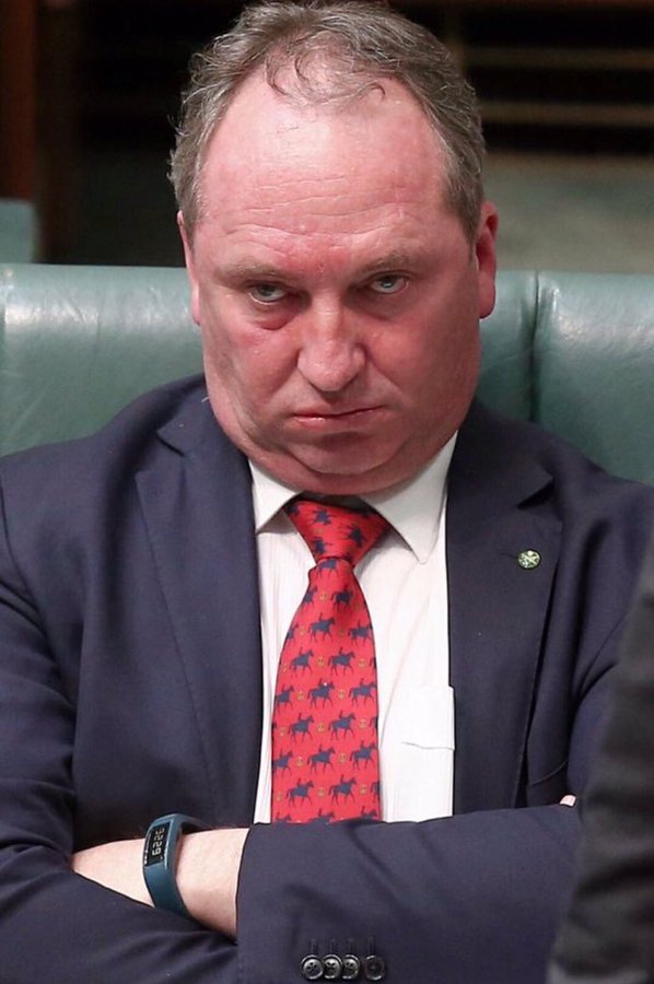philmupp1's tweet photo. #afternoonbriefing
Regular guest on #afternoonbriefing is Karvelas's
patsy Barnaby Joyce. It seems he's on every second day. He almost has a permanent booking. ABC may be banned from One Nation pressers but the feeling is definitely not mutual. The Barnaby lovefest is cringe. https://t.co/3clDkN6T0k