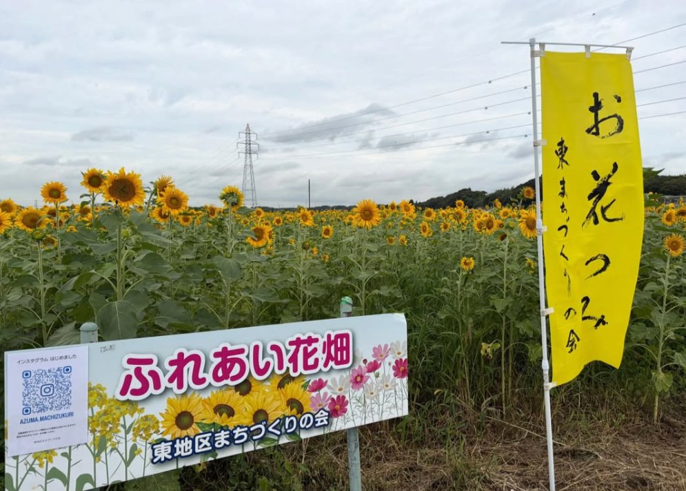 n1DUE0BvUT78427's tweet photo. 茨城県つくばみらい市城中624.ふれあい花畑！こんな素敵な場所があったんですね！地域の皆様の憩いの場所になってますね！新名所に今後なって欲しいです！ https://t.co/5v0ITqXaiJ
