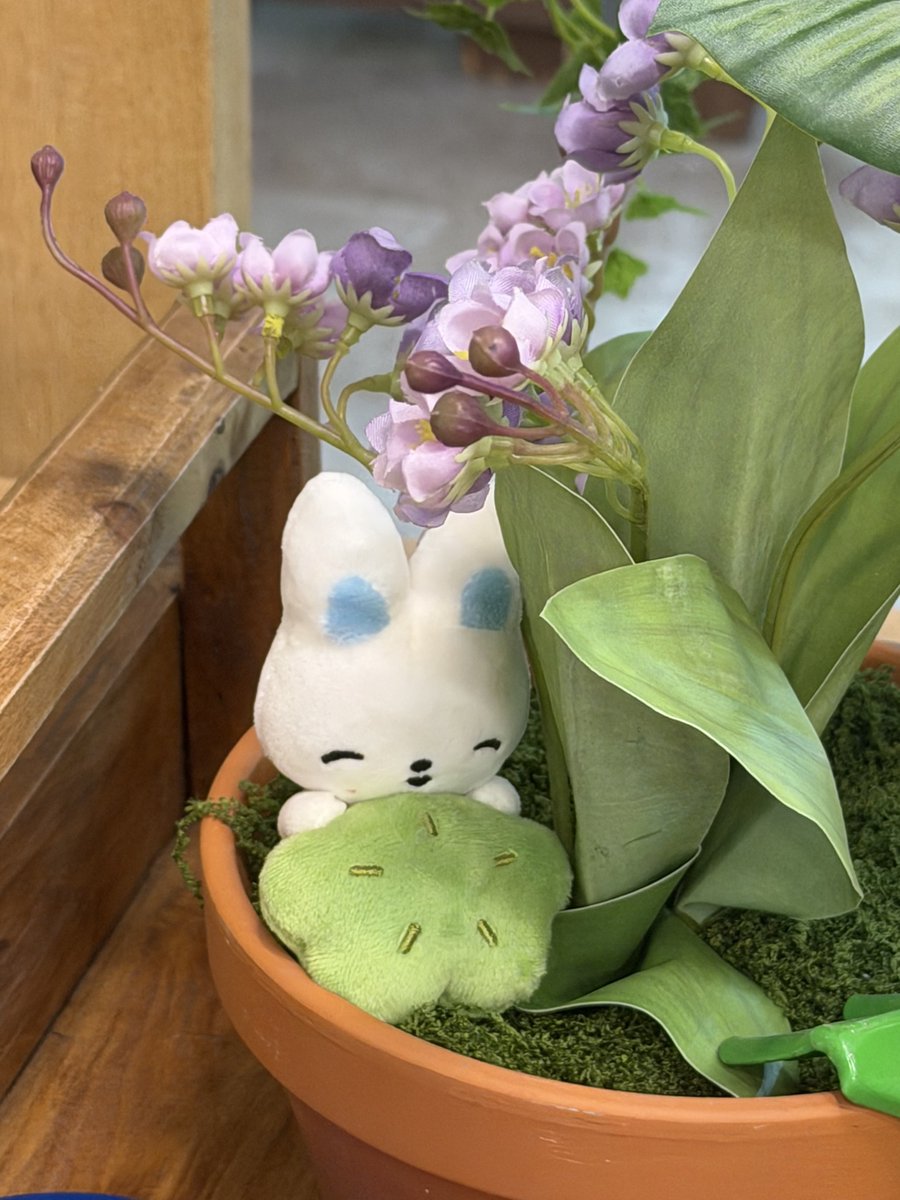 yujinniieee33's tweet photo. 뽀북이 넘 하찮고 기엽당 ㅋᩚㅋᩚㅋᩚㅋᩚㅋᩚㅋᩚ https://t.co/Bry6E2FRYr