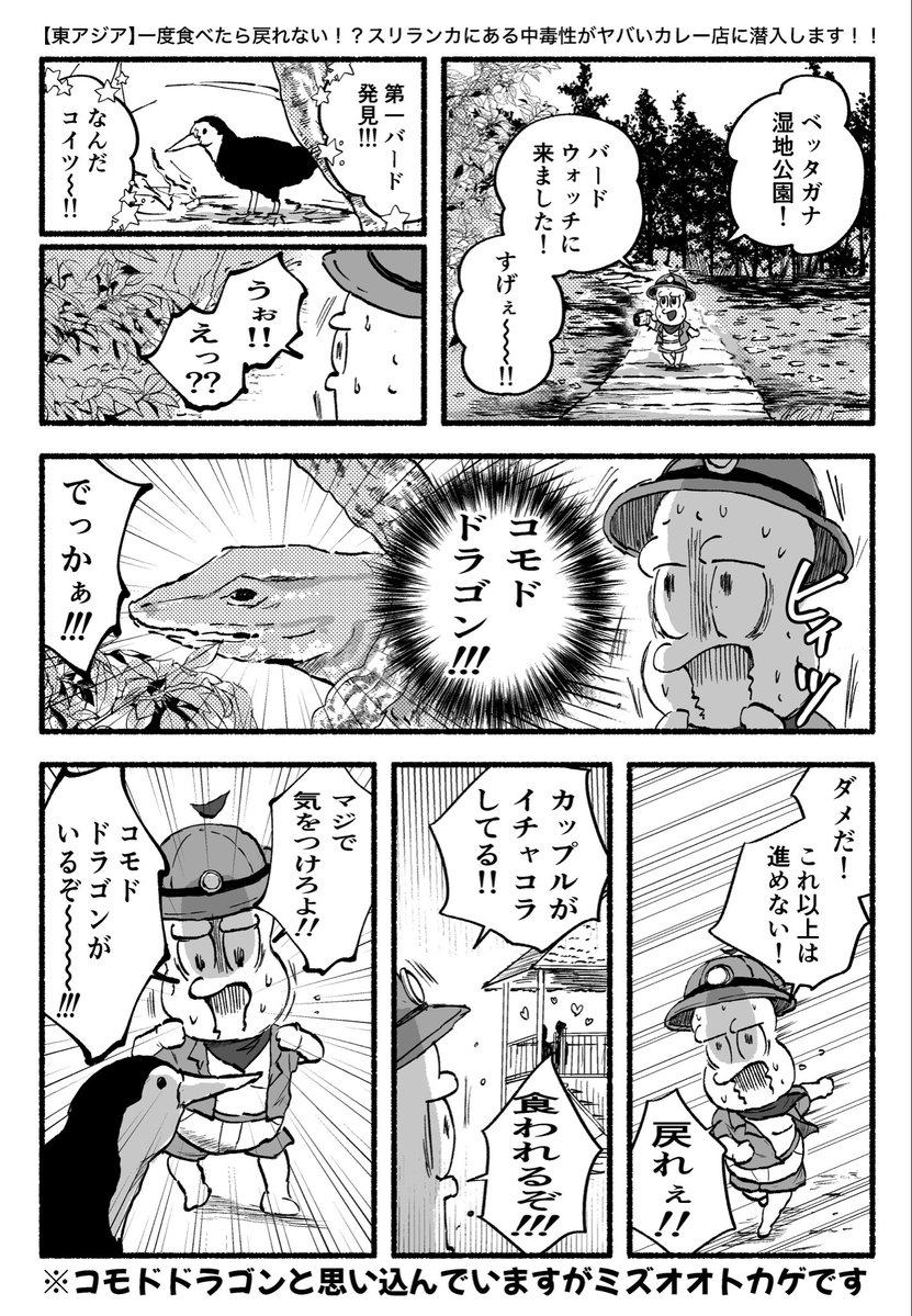 ぺこりこさんの投稿メディア
