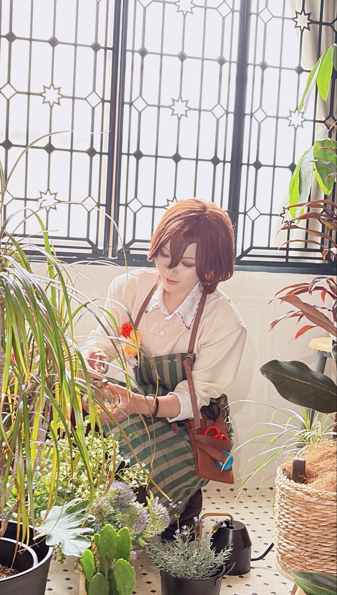 hshs_syou's tweet photo. そくほー🌸 https://t.co/aPFTweWFJk