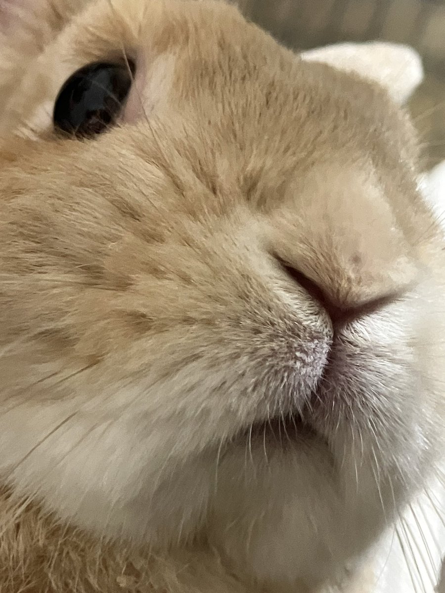 b8se_r's tweet photo. あーっぷ https://t.co/1ztGTPunG0
