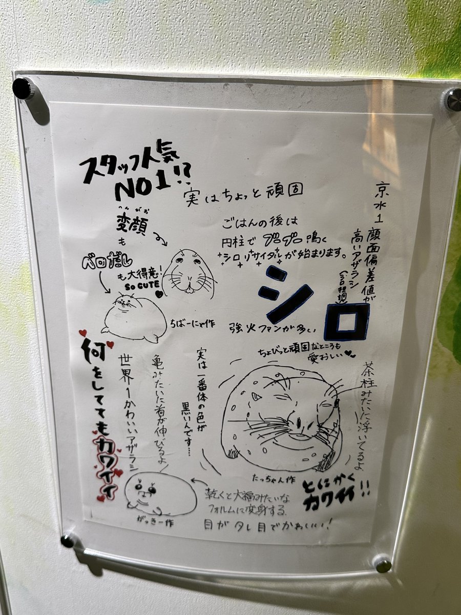minolinmama's tweet photo. 京都水族館様へ
飼育員さんの手描きイラストからしか摂取できない重要な栄養素があります！
どうかこれらをポストカードかクリアファイルにして販売してください！お願いします！お願いします！大好きです！ https://t.co/DmmTsjaITf