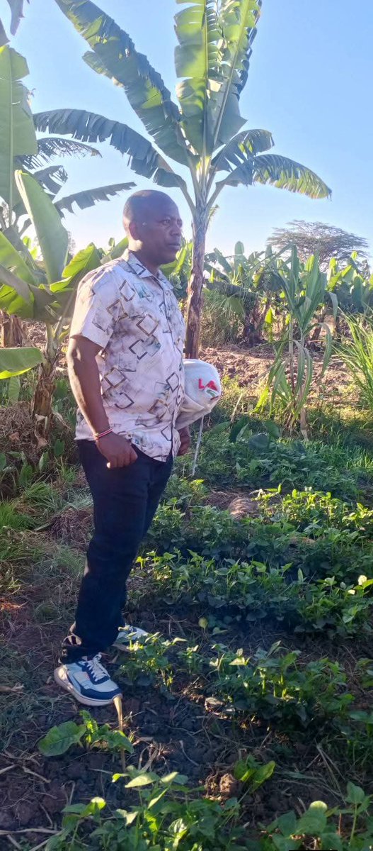 Stevemulwa9's tweet photo. 2019 vs 2026
#TBTEdition
It's God's Renewal....
Hallelujah π
Good morning @MajimajiKenya
@GhettoRadio895
#Brekko https://t.co/HHW3ZTjZ34