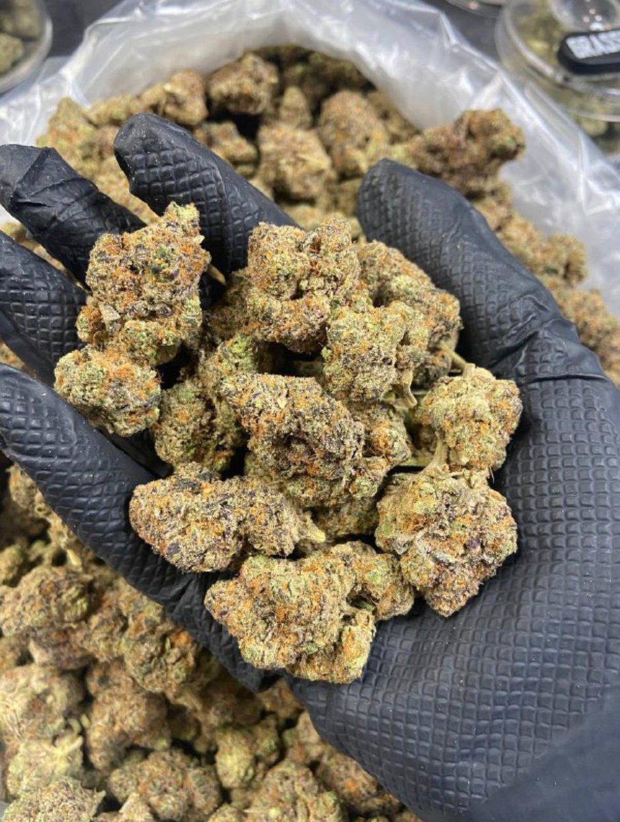 msmonchelee's tweet photo. Order Weed cannabis kush bud in
High Point
Downey
Clovis
Pompano Beach
Pueblo
Elgin
Lowell
Antioch
West Palm Beach
Everett https://t.co/T8ditQ1q3r