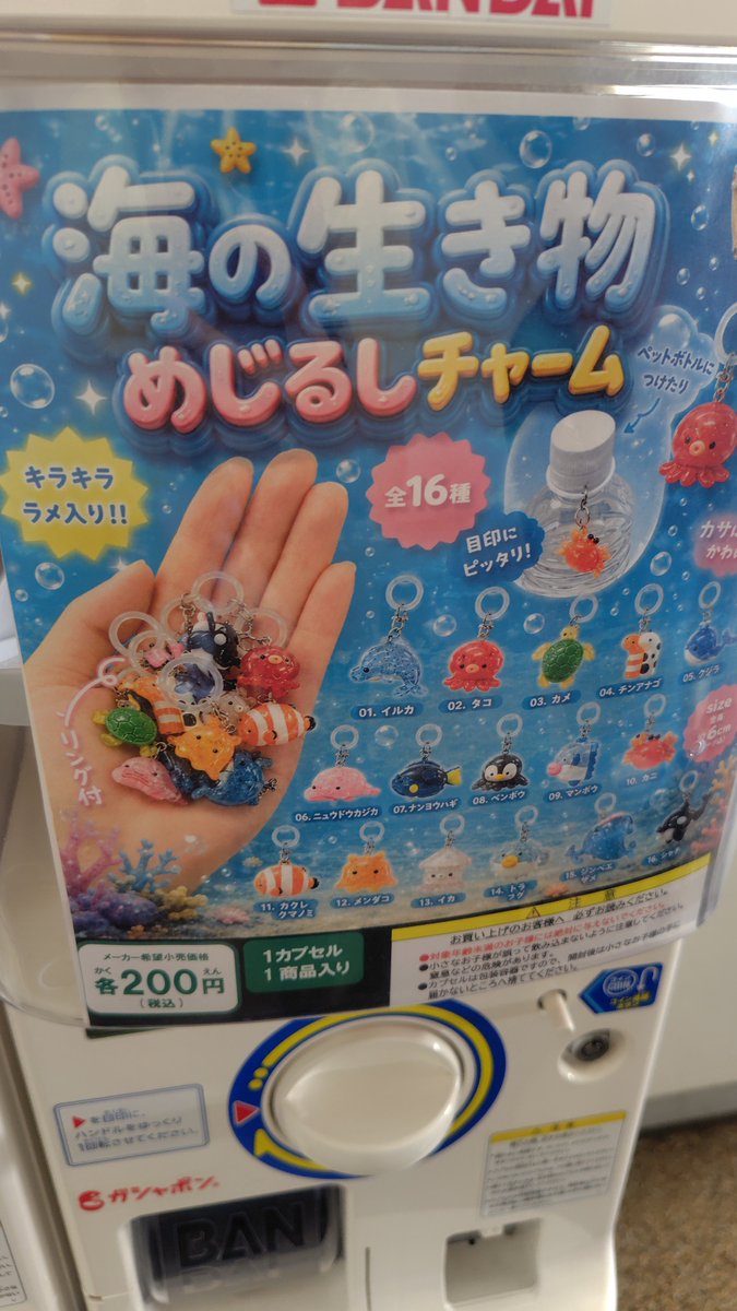 Nekoyu_suke's tweet photo. ベンボウってなんですか？？ https://t.co/uKw8ZSbvIM