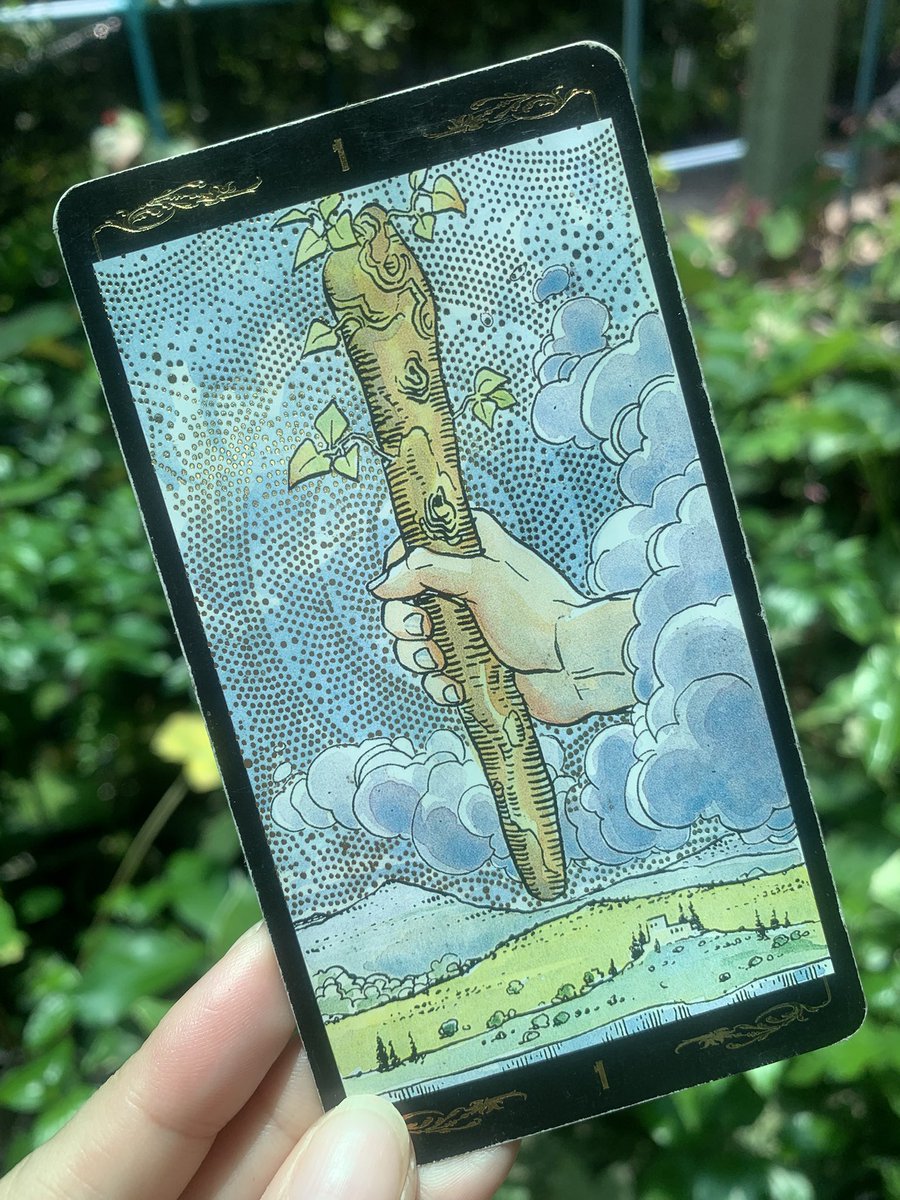 healingtimebyme's tweet photo. Card of a day😇

คนที่เข้ามาเห็นโพสต์นี้
ช่วงนี้มีเกณฑ์ได้พบ โอกาสใหม่ ๆ หรือมีบางสิ่งเข้ามากระตุ้นให้รู้สึกอยากเริ่มต้นอีกครั้ง สิ่งที่เคยนิ่งอาจเริ่มขยับ มีแรงผลักดัน ความคิดใหม่ โปรเจกต์ใหม่ หรือข่าวที่ทำให้รู้สึกตื่นเต้น

🍀รี+พิมพ์ 9เพื่อรับพร

#ดูดวง #healingtimebyme https://t.co/D0DgC7T2BL