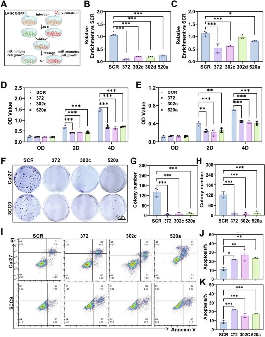 rababcancerfou1's tweet photo. miR-302 family shrinks tongue cancer tumors—new hope for a deadlier disease. https://t.co/jLgxLcgKXs