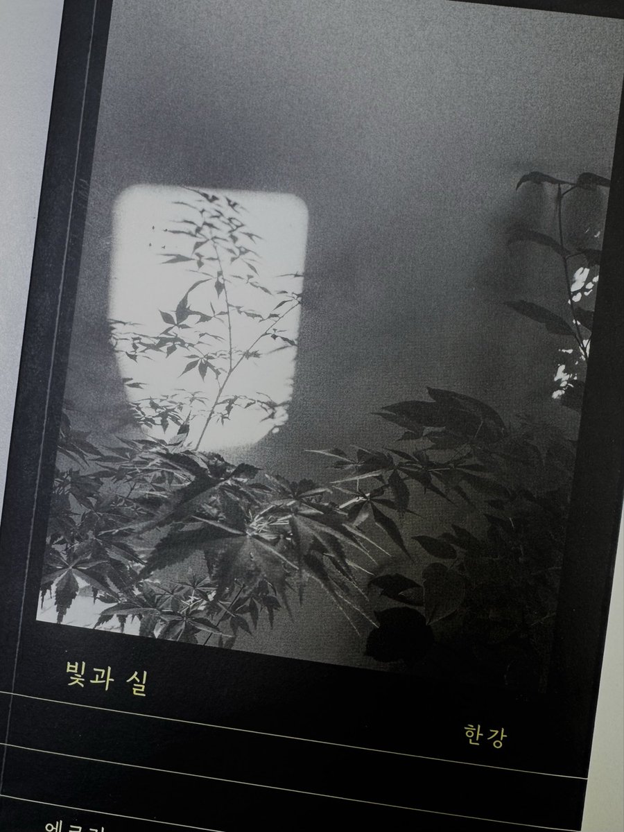 LetterToAzure's tweet photo. #독서계_트친소 #독서계트친소
편식쟁이 비문학쟁이였다가 //*~*//
소설도 열심히 읽고싶어서 트친소 열어요!

철학책, 소설 (소설 추천 너무너무 좋아요), 인문학책, 산문집 좋아해요
취향 맞지 않아도 찍먹할 용의 많습니당!!

트친이 되어주실 다정하신 분들 흔적 남겨주심 찾아갈게요 🥰 https://t.co/VsIWkxh8tb