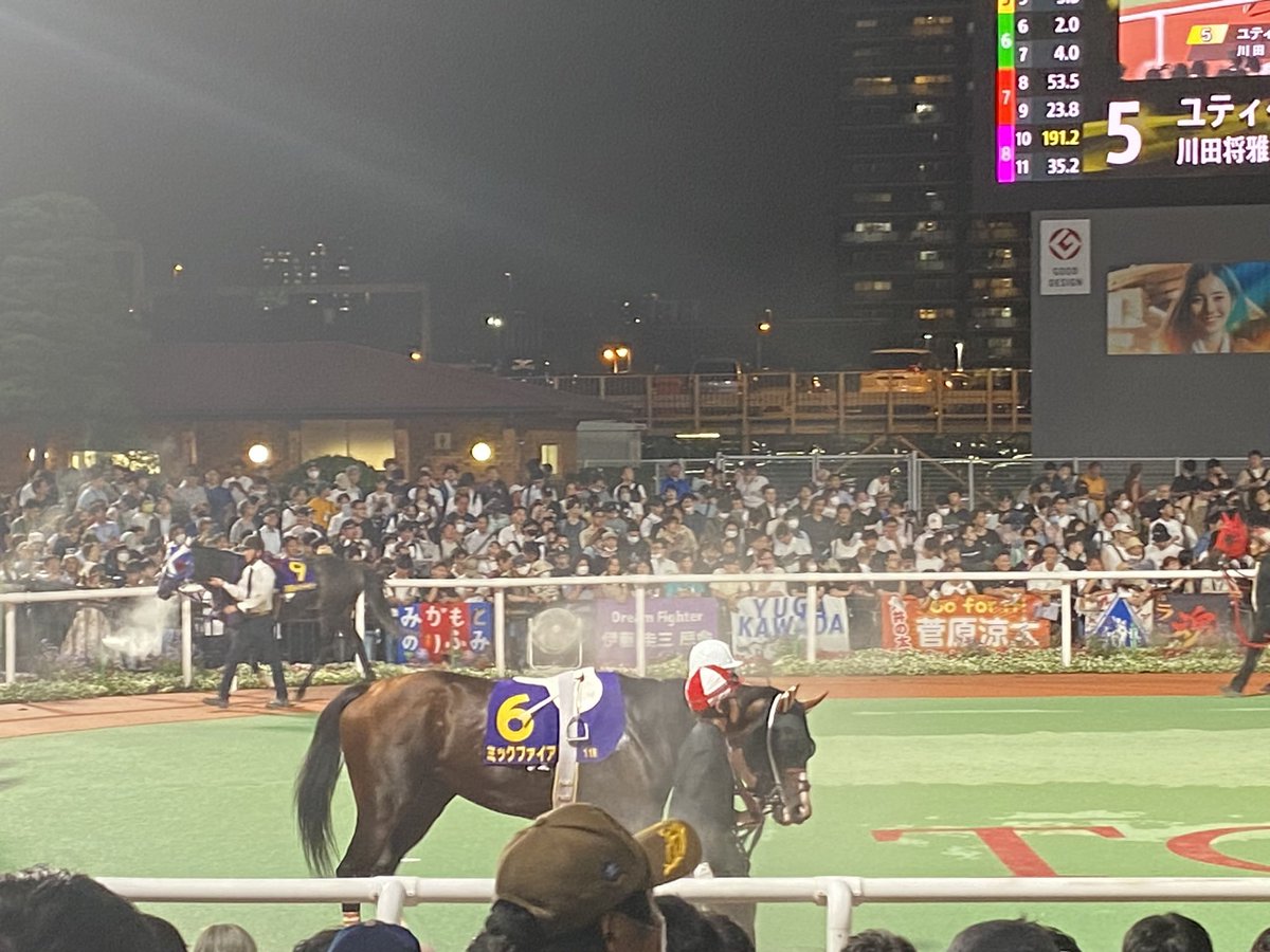 Or_Keiba's tweet photo. ミックファイア、引退。

あの夜、現地にいました。
1番人気のJRA馬・ミトノオーを、地方馬が私の目の前であの脚で差し切っていく——そんな奇跡みたいなレースを、生で見ました。

ゴールした瞬間の大歓声。
鳴り止まない御神本コール。
気づいたら鳥肌が立って、涙が出ていました。

もうあの走りをターフで見ることはできない。
それでも、種牡馬としてあの魂を未来に繋いでほしい。

本当に、お疲れ様でした。