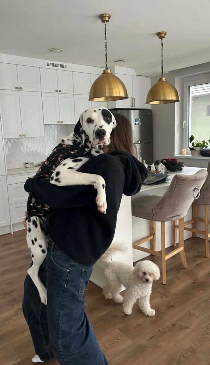 blessingDanocj's tweet photo. k9 lovers always got some hot🥵k9 content🤩 me to have some crazy😘 adventures
https://t.co/0qsJOLDRfd
join now... https://t.co/rjjg1w1Abl