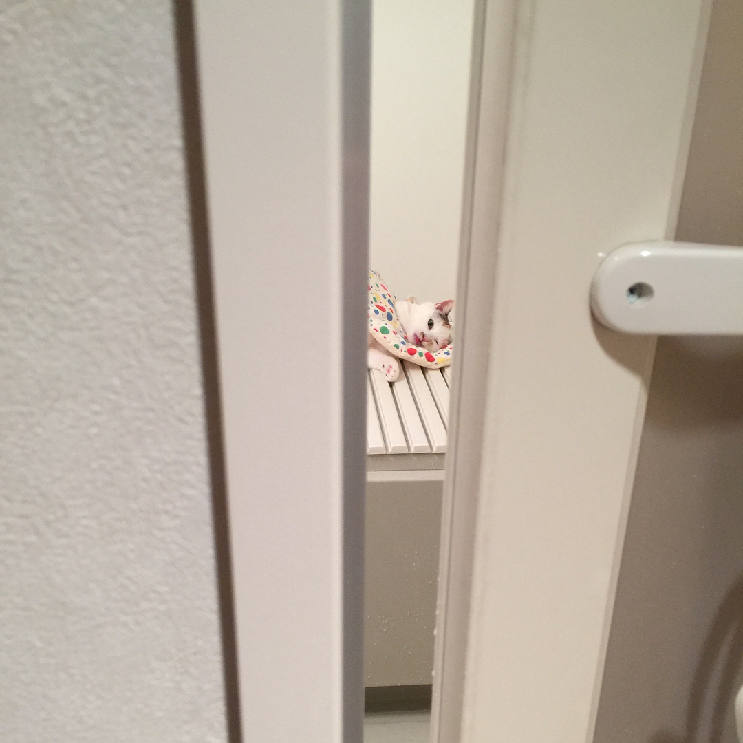 GennaLorentz's tweet photo. 他人の生活の断片を覗き見たところで、自分の退屈が埋まるわけでもない。そんな奇妙な共感を探す意味はどこにあるんでしょうね。 https://t.co/5nyi0mkVbU