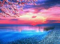 hfanfu's tweet photo. https://t.co/pnn51UO8eu
