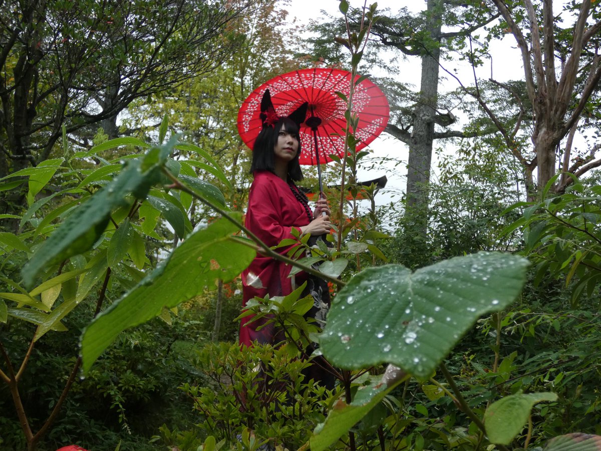 ionamio's tweet photo. 紅衣の黒狐

ダイヤ(@diamond_maiden_)

#コスプレス #竹駒神社 #狐夢 https://t.co/LOWy1iKfgj