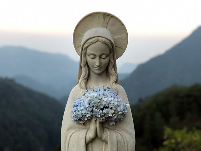 AbogadosCrist tweet picture