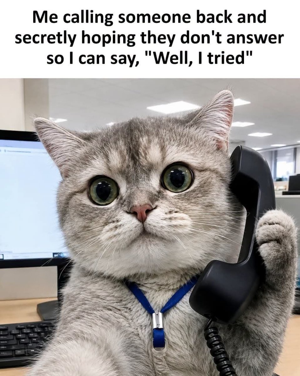 WholesomeMeme's tweet photo. https://t.co/Qxe3WqgVwJ