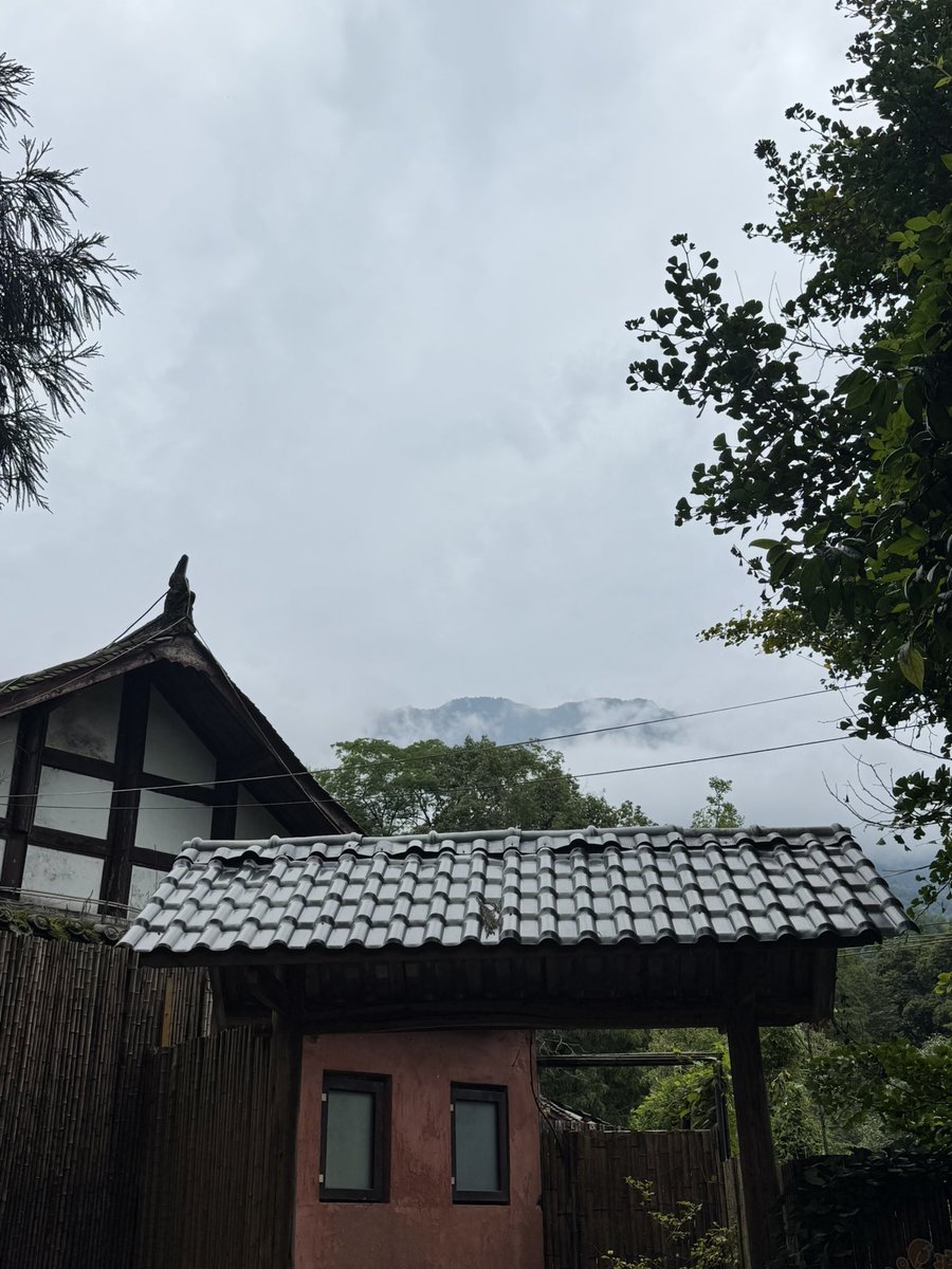 lunaqueen1111's tweet photo. ⛰️甲木不管什么天气都很爱往山上钻 https://t.co/t39pwVvlyM