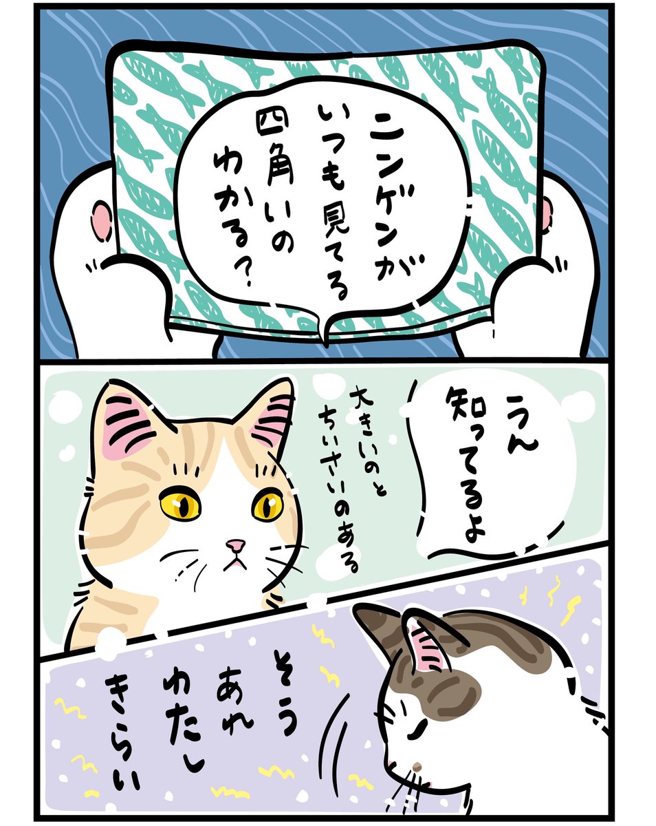 mojugiso's tweet photo. 四角いアレの話♨️再掲です
　
#ねこゆ　#猫湯
　
あーーどうしても見ちゃうんだよね https://t.co/6FSLmQXURn