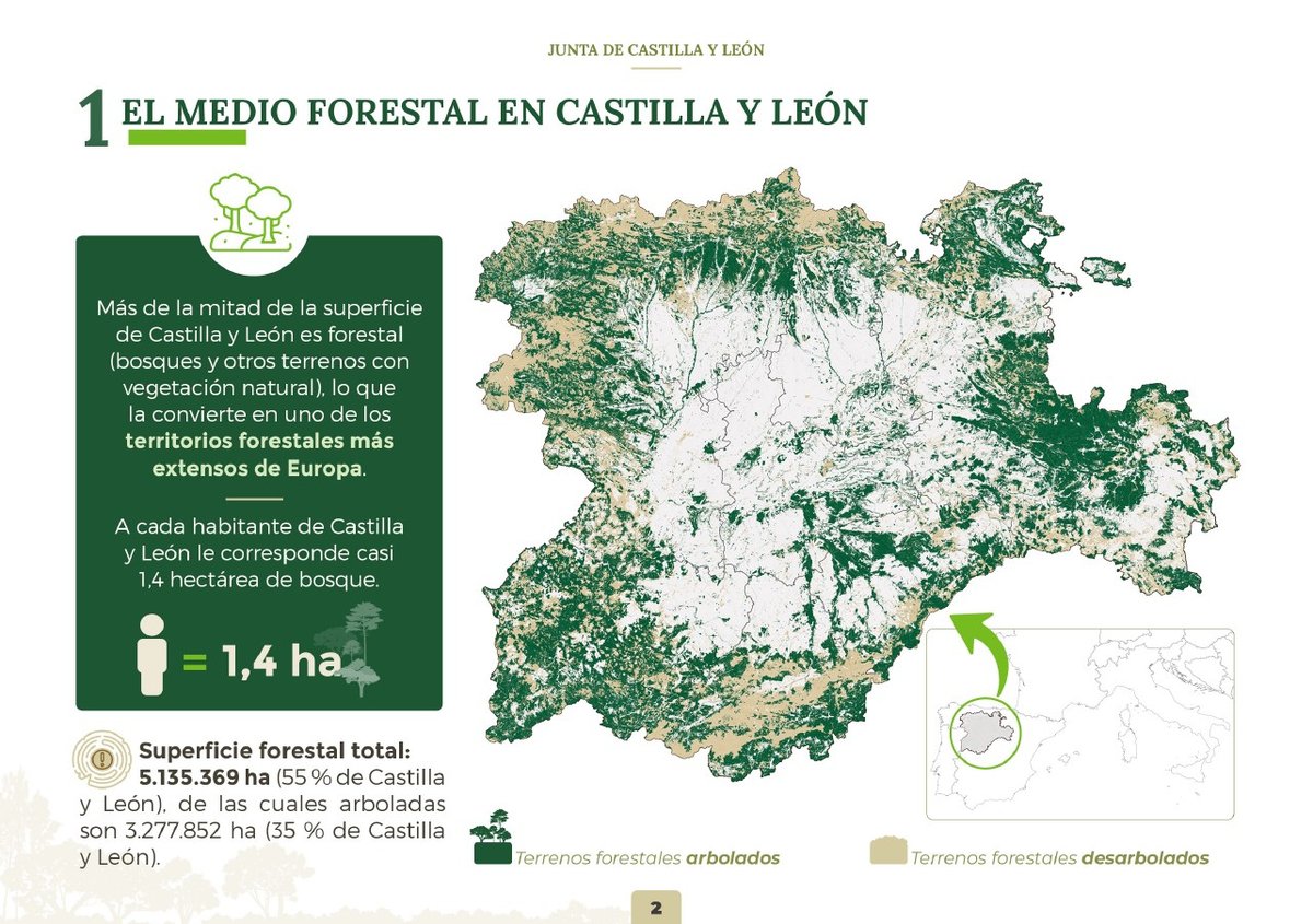 Talher_'s tweet photo. Castilla y León es una de las regiones forestales más extensas de Europa. Un 55% de su territorio es forestal y un 35% son bosques. Por cada habitante, hay casi 1,4 hectáreas de bosque. Nos enorgullece gestionar servicios en este pulmón natural. https://t.co/O2DvC9Y1uV