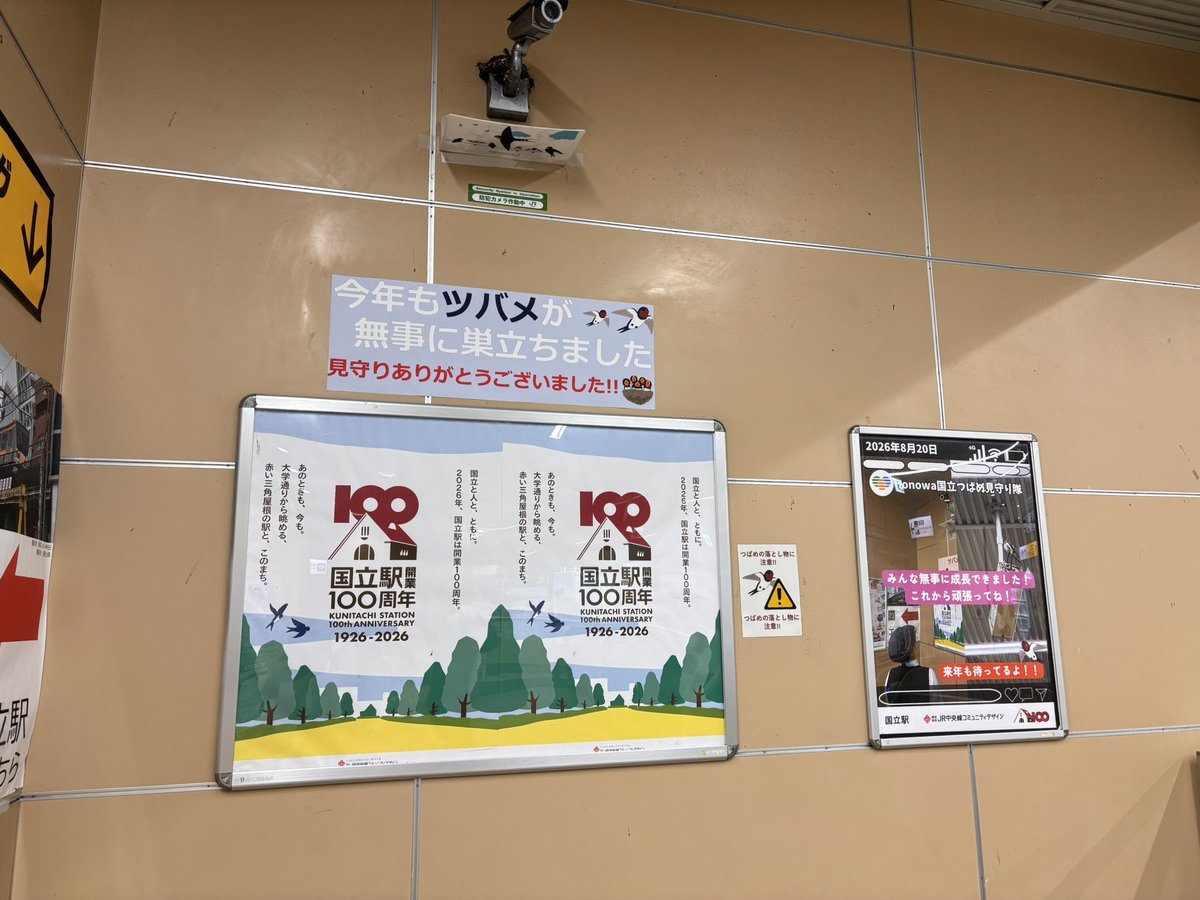 kunitachijk's tweet photo. 国立駅や旧国立駅舎周辺のツバメ🐧たち。無事巣立ったようで、今年も夏が終わりましたね☺️

24名にご参加いただいた「夏休みだ！粘土で遊ぼう」
自由研究に間に合うよう無事焼き上がり、引き渡しも完了しました💪
🍉や花火🎇など、夏らしい絵柄が印象的✨

今日は大役を果たした窯のメンテナンスです🎶 https://t.co/1f1pwDuufO