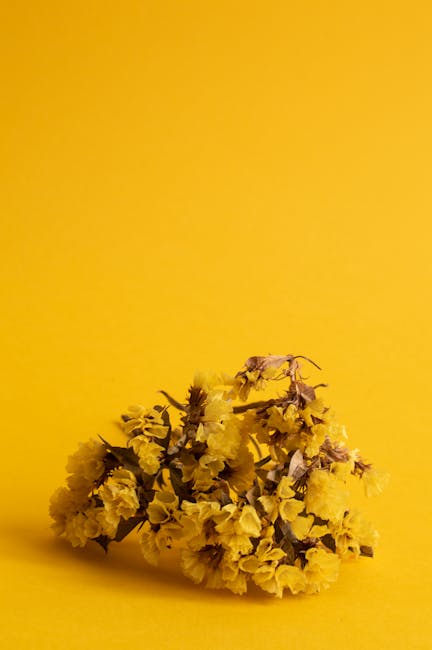 DenishaSchfog's tweet photo. عملك سيفتح لك لدعمك. الأبواب للنجاح. أنا مدين شكرا يا أخي. sol dobler☝️ https://t.co/Pkjd92O7FE