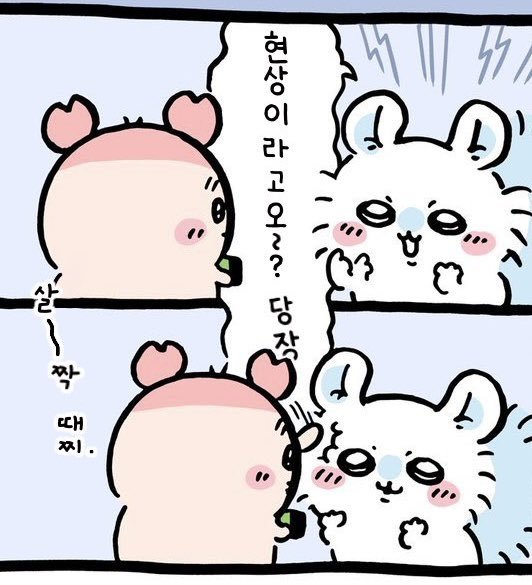 Chii_illkh's tweet photo. @gagoll_l 헐 저ㅜㅠ 아노코요...♡ 너무 귀엽지 않나요 그리고 카니랑 모몽가도.../// 진짜 요즘 너무 좋아서 아침에 그 체조노래 틀어놓고 잠깨요..ㅋㅋㅋㅋ https://t.co/fusOUWvSw2