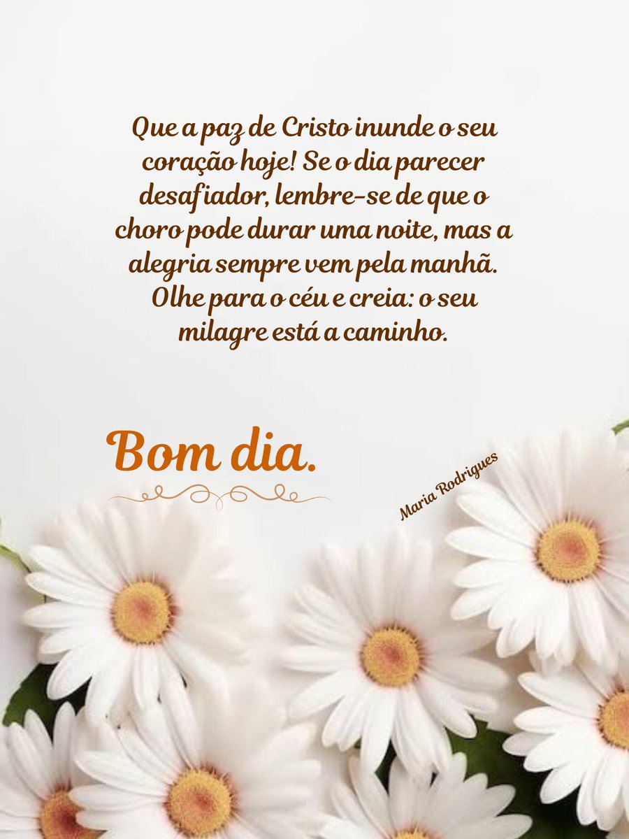 7MariaRodrigues's tweet photo. #bomdia #desafios #pazdecristo #alegria #milagre https://t.co/FqRkUZUQEP
