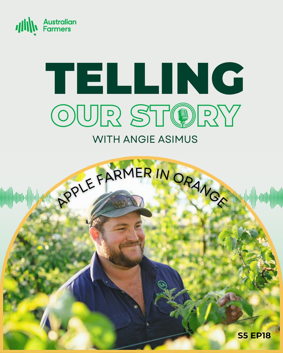 NationalFarmers's tweet photo. NEW EPISODE: @angieasimus talks with Iain McLennan, who left agronomy &amp; sheep to revive his family's apple orchard, St Albans. https://t.co/tbfDnsAkHq
#australianfarmers #aussieag https://t.co/wztLv3mfKg