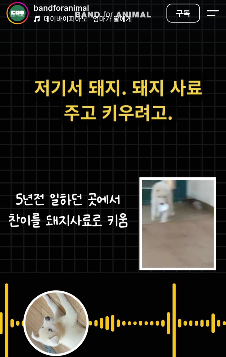 Sophiaxx2025's tweet photo. 돼지농장에서 돼지사료 먹이면서 시골개 키워오시던 네팔인이 페병을 얻어 개 더이상 못키우게 되어 단체에 연락했다고
가슴이 찢어진다 
건강 찾으시고 행복해지셨으면 
개도 행복해졌으면
정기기부하는 단체인데 조금더 보내야겠음 https://t.co/IJ0lC62hli
