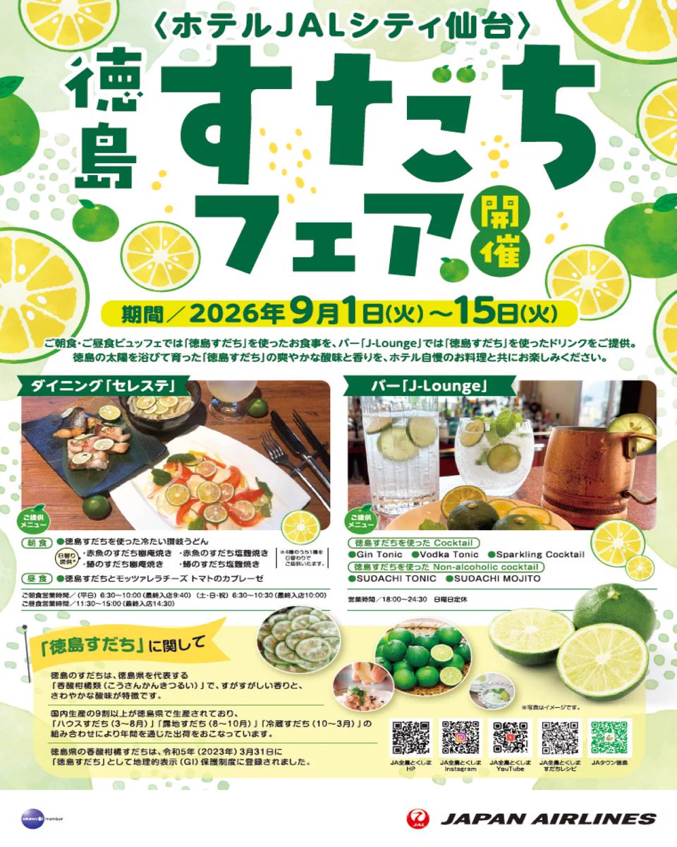 入手困難　徳島県航空写真集　とくしまを翔ぶ 阿波ふうど on X: 