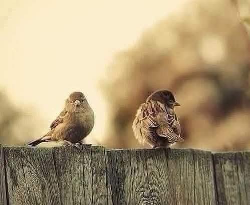 KlVW9hvcRNXu3Ey's tweet photo. أيها التائه...
"البَعْضُ يَتَظَاهَرُ بِحِمَايَتِكَ
وَهُوَ فِي الحَقِيقَةِ يَنْتَظِرُ هَلَاكَكَ." https://t.co/fvajZdRAHL