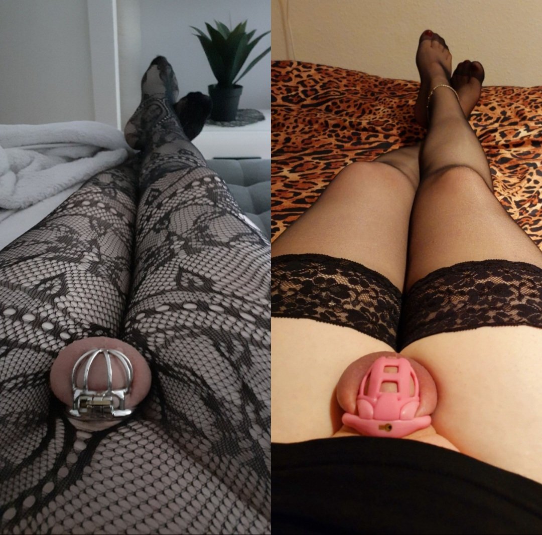 SissyXSarah's tweet photo. ✨ 03.09.2020 → 03.09.2026 ✨

Heute ist ein ganz besonderer persönlicher Jahrestag für mich: 

6️⃣ Jahre dauerhafte Keuschhaltung 🔐😊

Es ist nicht immer leicht, aber ich habe es akzeptiert und ich liebe es in einem kleinen Cage verschlossen zu sein und stehe auf das Gefühl 😏 https://t.co/9hFKmkpZ8J