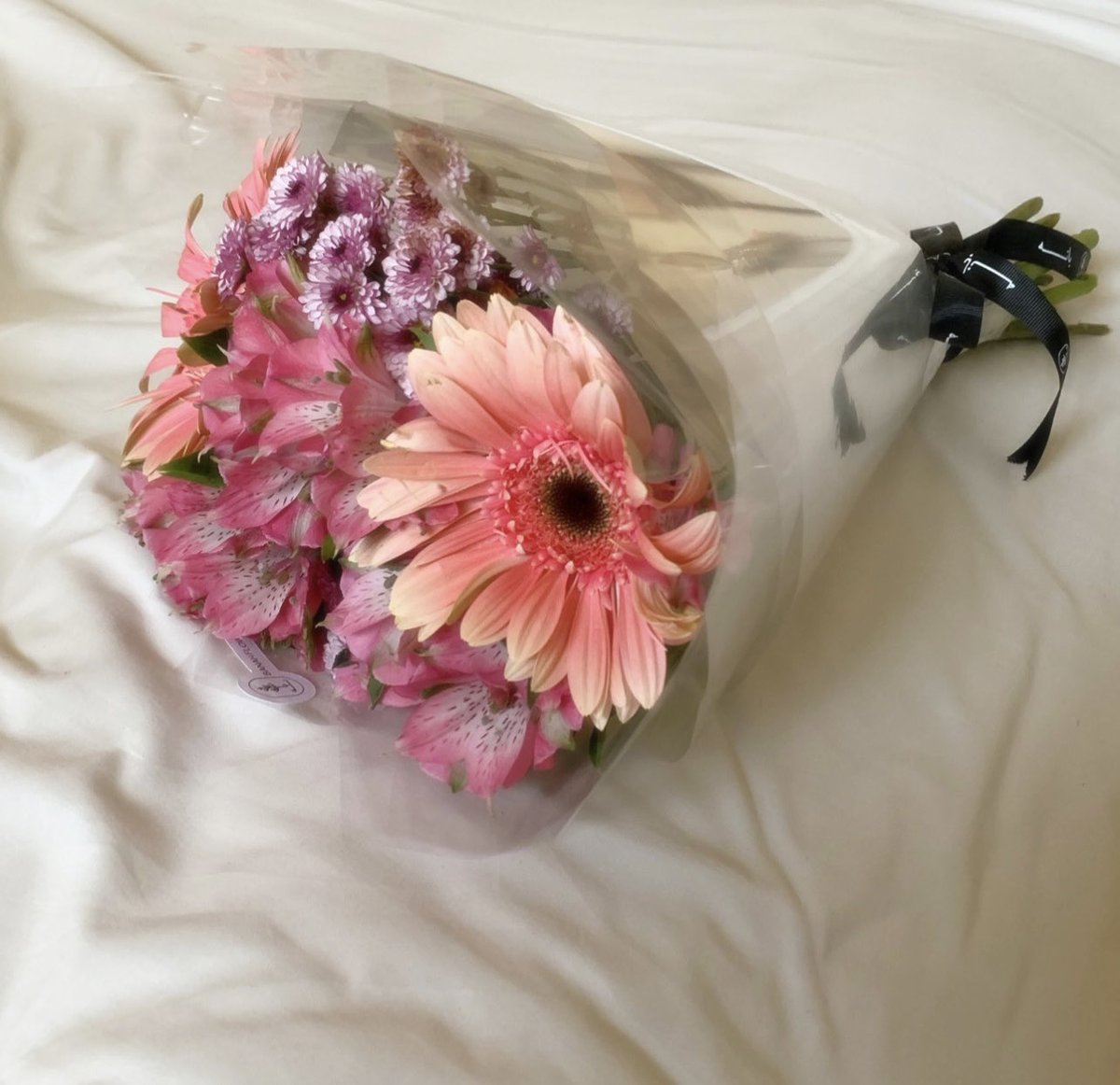 lpj1il's tweet photo. Photo Archive 💌💕🥂 https://t.co/pfntReJL3u