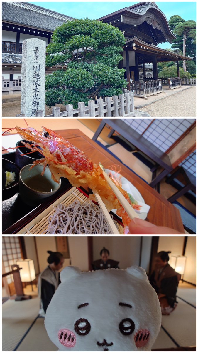 Z_sumimaru's tweet photo. 江戸よりデトックス帰還！ https://t.co/90KJfo0wK3