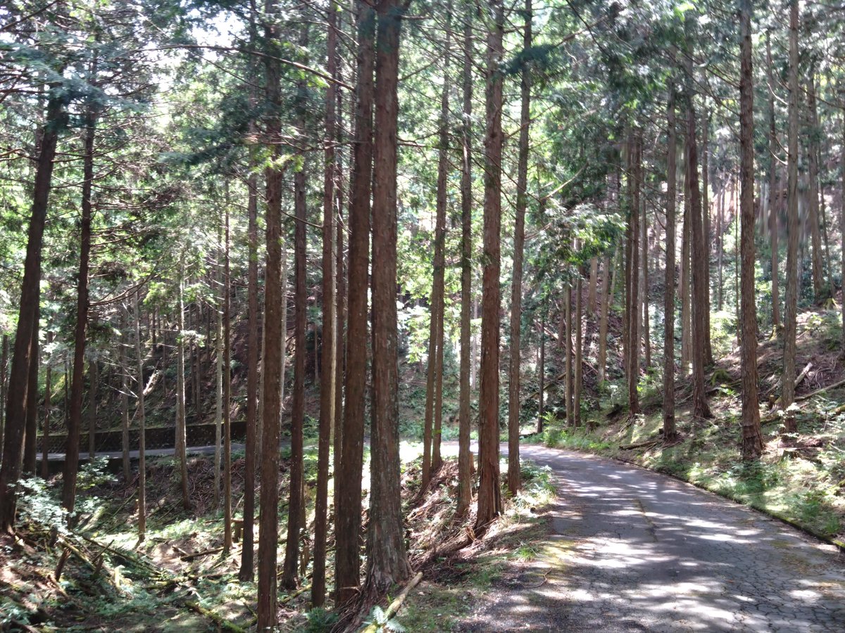okusangaku's tweet photo. 8/30 吉野山・吉野川

吉野山をぐるっと回る予定でしたが、道が進入禁止となっており急遽道を変更しました！

道を変更したこともあり、部員みんなで吉野川を楽しむ時間を作りました✨️暑さがまだまだ続く中、吉野は夏の暑さを忘れさせてくれる素敵な場所でした✨️

#山岳部
#吉野山
#吉野川 https://t.co/U0lRcPHaWK