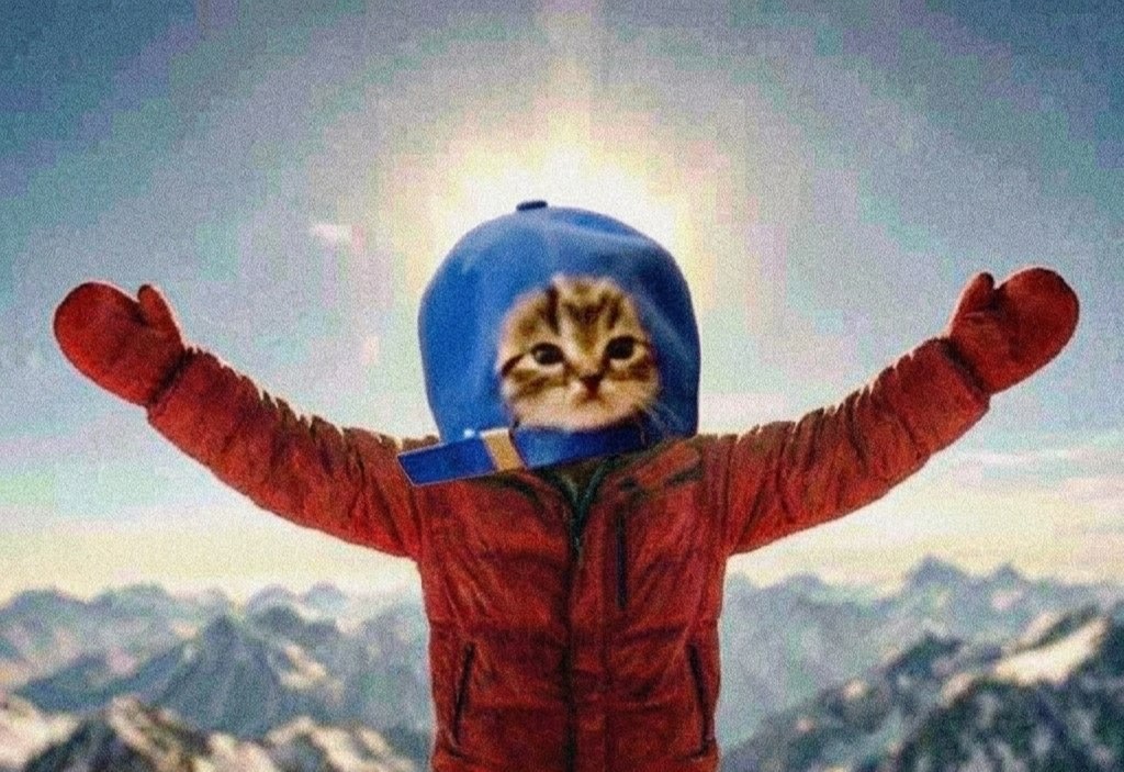 CapCatonRH's tweet photo. today 

*Thanks for the meme @x0Ahmedx https://t.co/gBva5zheGS