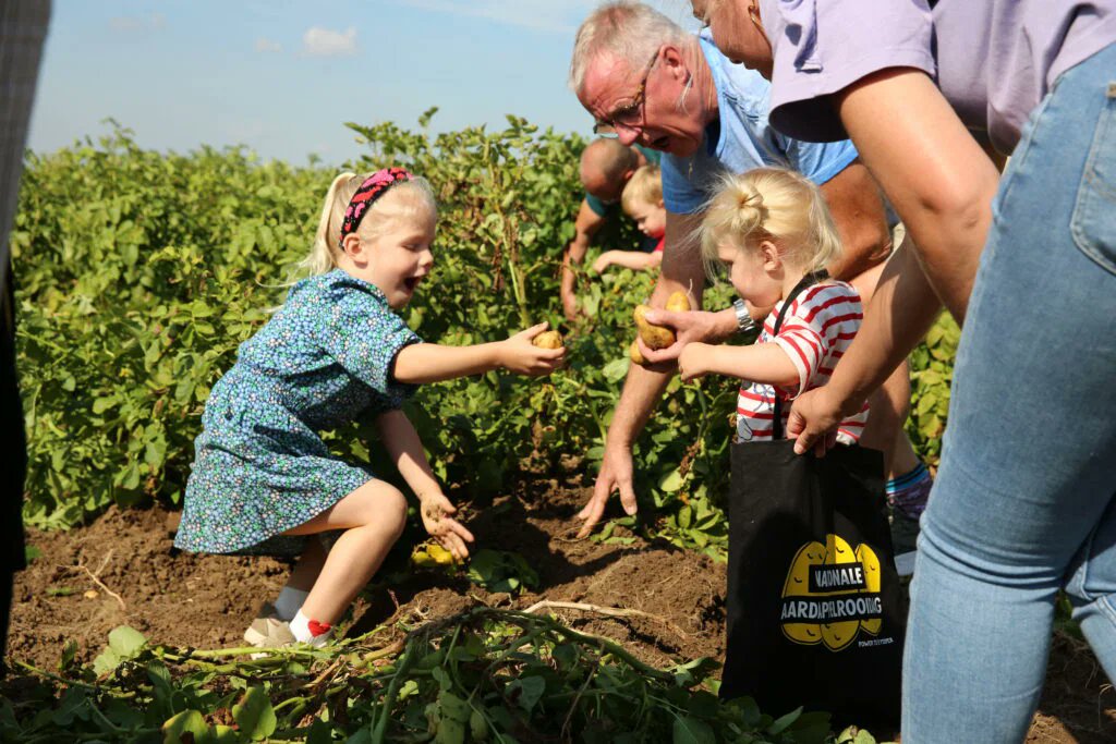teamagronl's tweet photo. 5 september openen aardappeltelers tijdens de #NationaleAardappelrooidag hun deuren om samen met jou de aardappelliefde te vieren. Trek je laarzen aan, ga zelf het land op en rooi je eigen aardappels. Geniet van een dag vol activiteiten:
https://t.co/R2eIPlakFq
#PowerToThePieper https://t.co/Cmsm1P0hpE