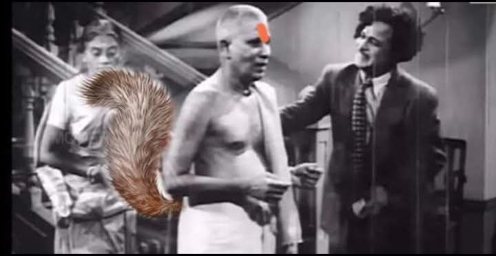 Cat__offi's tweet photo. Uday - Vijay 

திங்க கிழமை பதில் சொல்லும்போது யாரும் ஓடிறக்கூடாது  னு சொல்லிட்டு நீ ஏன் மேன்  இப்ப  சபை ல இருந்து வெளிநடப்பு செய்ற https://t.co/clTXjsaC47