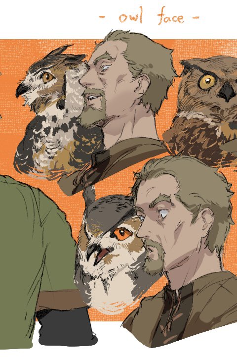 fujita_alias's tweet photo. 🦉🦉🦉 https://t.co/H5VLf5MYnr