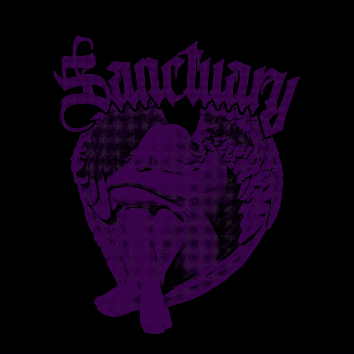 wipbysaint's tweet photo. 💜🪽 #Sanctuary https://t.co/LYAW9Fziow