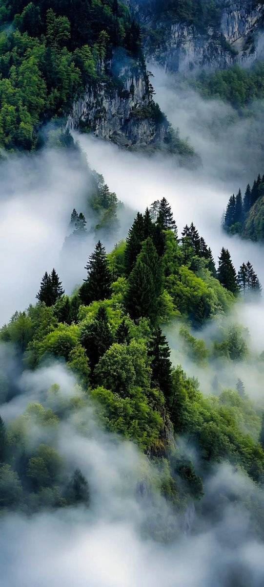 Tra_vigo's tweet photo. Imagine you being lost in this https://t.co/GADvoECMev