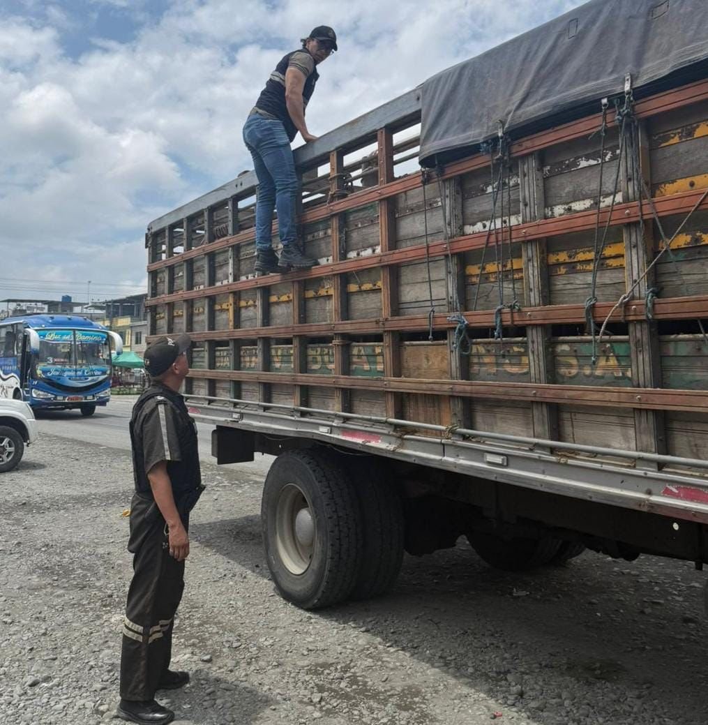 AgrocalidadZ5's tweet photo. 📢  | #PrevenciónSanitaria

Junto a @PoliciaEcuador ejecutamos operativos de control de movilización animal en #LosRíos, verificando la documentación habilitante para precautelar el estatus zoosanitario.

#ProtegemosElAgroEcuatoriano💪🏼 https://t.co/o44ekOZ7KZ