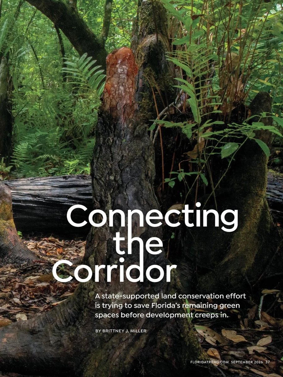 flwildcorridor's tweet photo. A story on the Florida Wildlife Corridor has made the cover of the Florida Trend September issue! ⁠
⁠
The 15-page spread explores the ongoing efforts to protect the Florida Wildlife Corridor and the people working to keep the corridor connected.

Link: https://t.co/Hqx3QOuEg3  https://t.co/JiQCNM677r