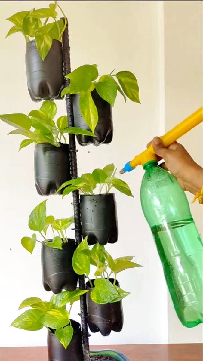 MadisonBrijf's tweet photo. Transformamos frascos de vidrio viejos en macetas para plantas  Sostenibilidad en cada paso. https://t.co/jR48hpxOox