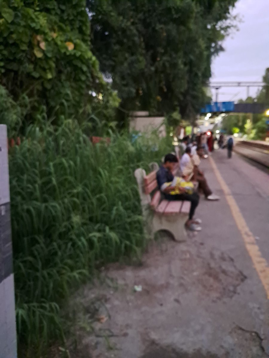 Satendra_bhatii's tweet photo. At Vivek Vihar Railway Station, No proper security lights, no cleanliness,  High shrubs covered both platforms. Is this a Railway station of Delhi? Both platforms are at dark in night. Is Swachh Bharat Abhiyan not applicable here? @drm_dli @AshwiniVaishnaw @narendramodi https://t.co/mlyPWilHwy
