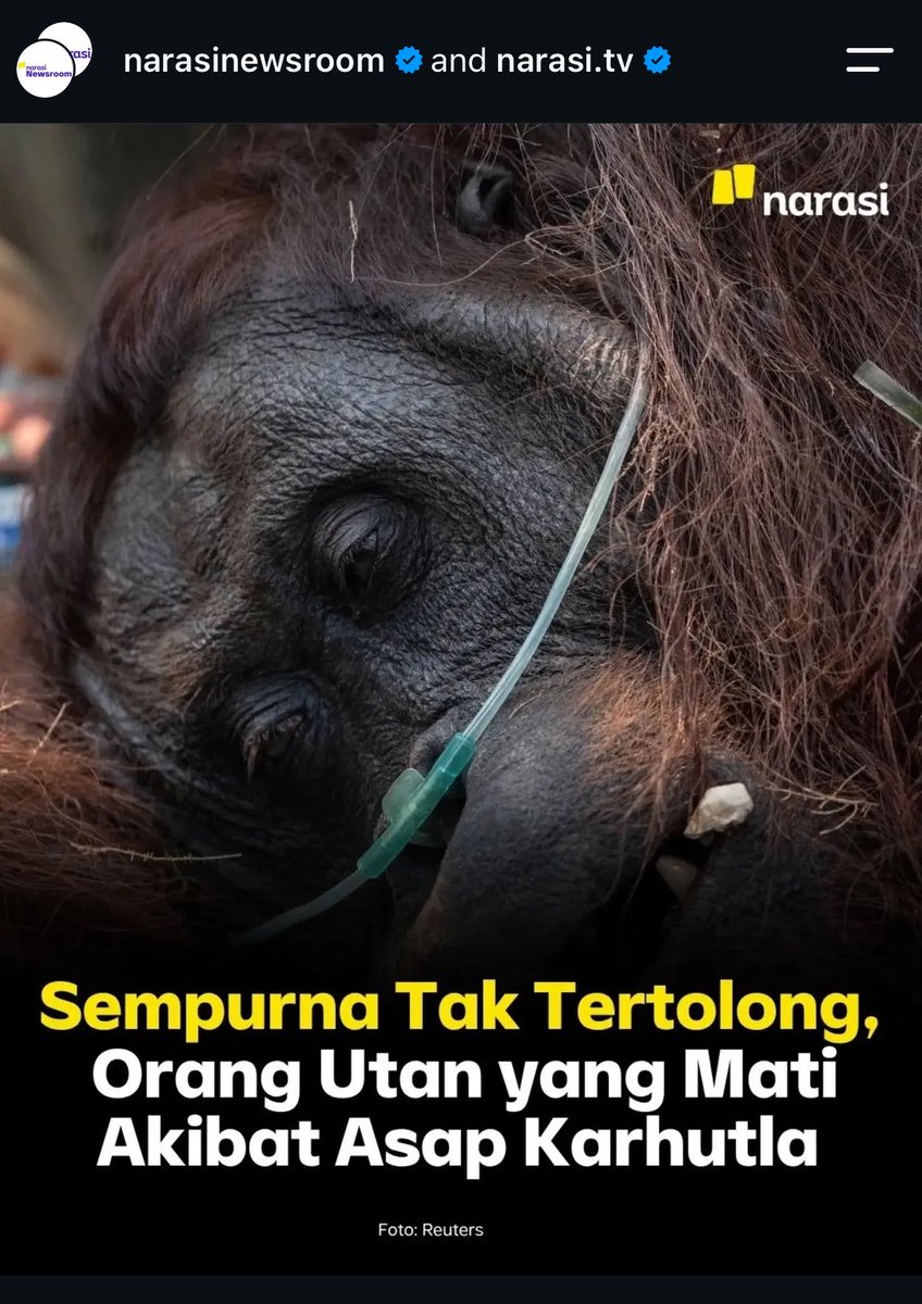 sunseelly's tweet photo. bodo amat dibilang lebay, tapi aku daritadi nangisin ini banget ya Allah… https://t.co/bRlDrkyk86 https://t.co/A9PZlQ78Ap