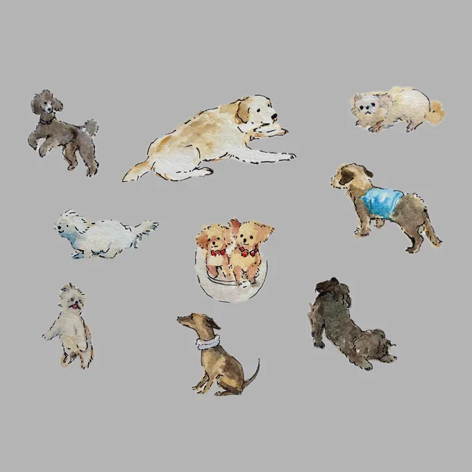 白玉のように可愛い犬 on X: 