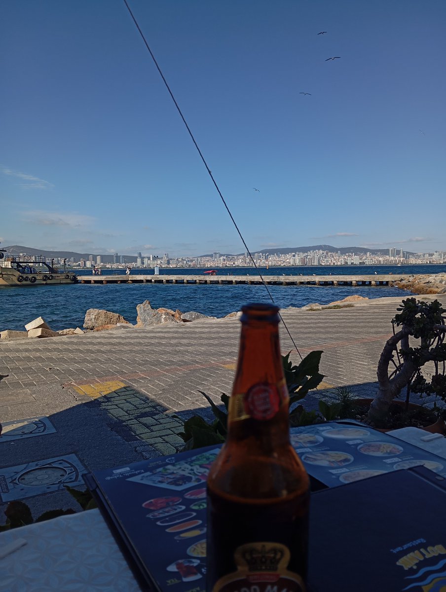 galiba_bilgi's tweet photo. Ada sahillerinde bekliyorum 🎶🎵 https://t.co/w2u7u4ZAkQ