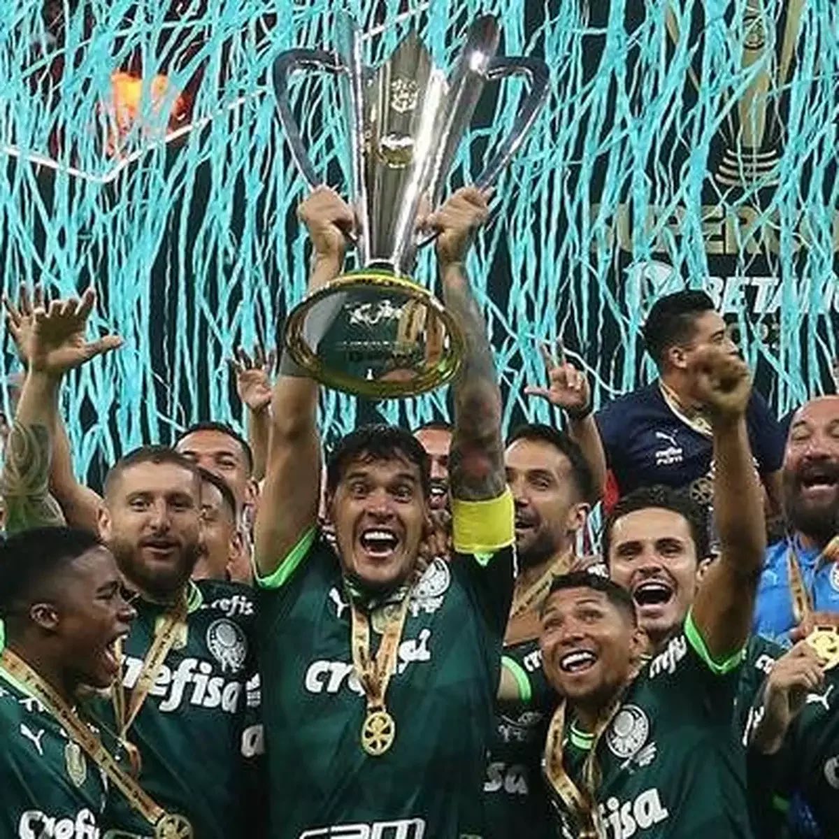 dnpluh's tweet photo. @jotagepjl @context_jp @Almondegah @deprepalmeiras https://t.co/rtMo5IzeA9