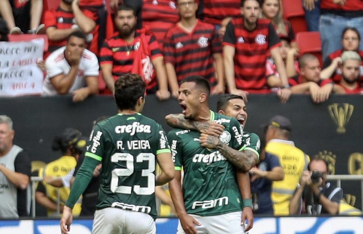 dnpluh's tweet photo. @jotagepjl @context_jp @Almondegah @deprepalmeiras https://t.co/SMgoffWohn